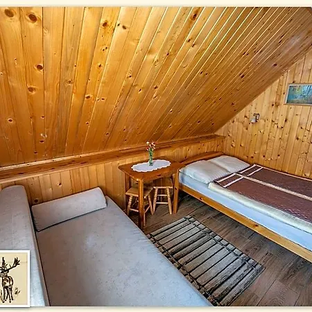Hubertus Goscinne 3*