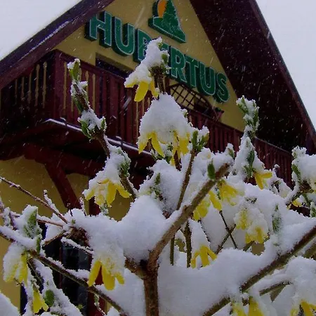 Hubertus Goscinne Sienna (Klodzko)