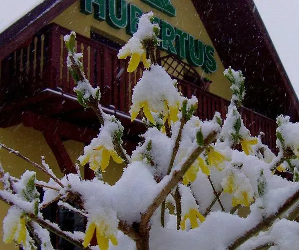 Hubertus Gościnne Sienna (Klodzko)